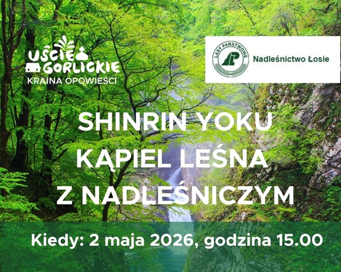 Kąpiel leśna z Nadleśniczym -Shinrin Yoku