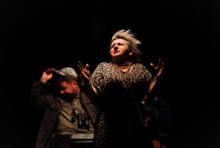 Festiwal Ujście Kultury 