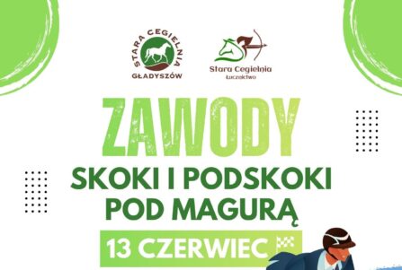 Skoki i podskoki pod Magurą- Zawody