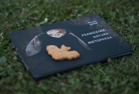 Nietoperze z Babą z Gór