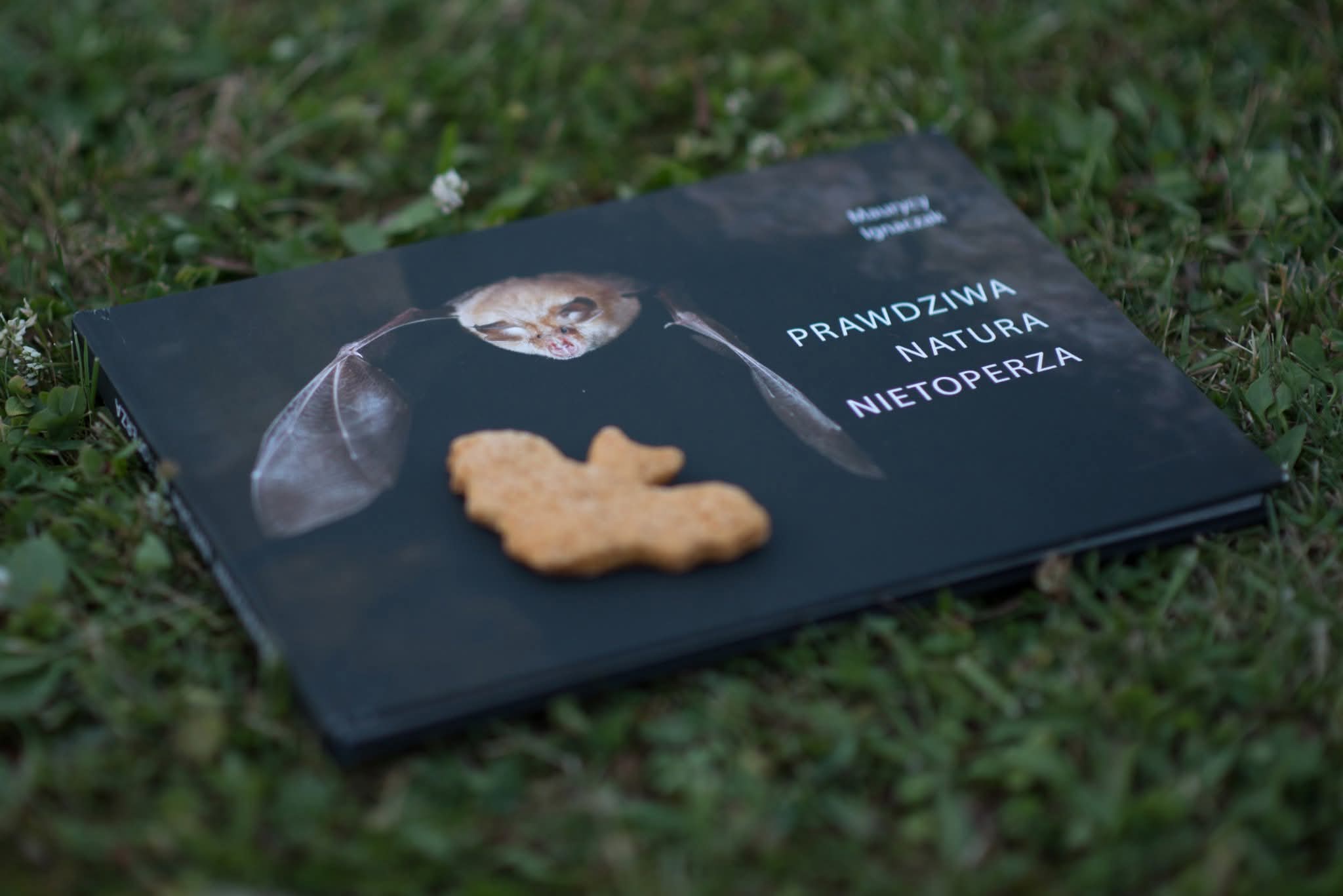 Nietoperze z Babą z Gór